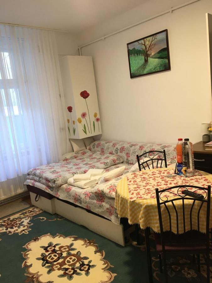 House Centrul Istoric Apartment Sibiu Exterior photo