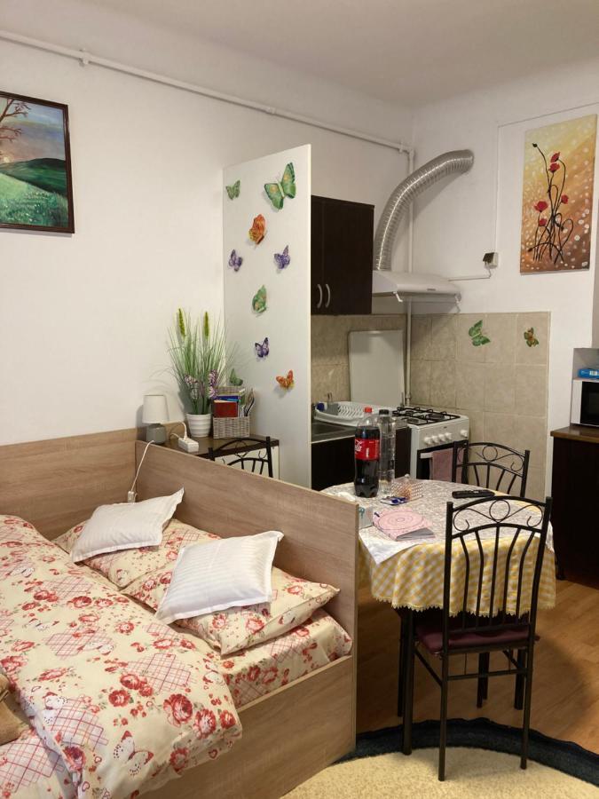 House Centrul Istoric Apartment Sibiu Exterior photo